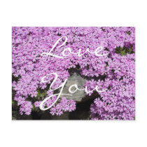 Love You Postcard