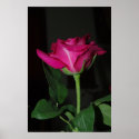 Love You posters