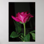 Love You Posters
