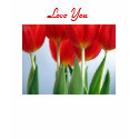 Love You Shirt by sexycher Love You Shirt
