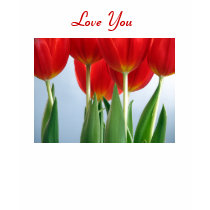 Love You Shirt by sexycher Love You Shirt