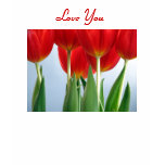 red, tulips, flower, blue, love, sky, for her,