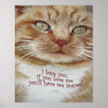 love you spay me poster