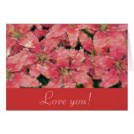 Love you with Lilies! Love you with Lilies!