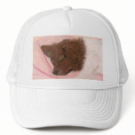love your bed trucker hats