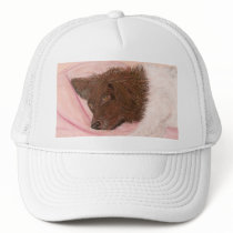 love your bed hats
