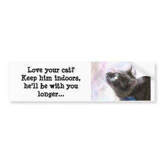 Love your cat - Bumper Sticker bumpersticker