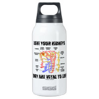 Love Your Kidneys They Are Vital To Life (Nephron) 10 Oz Insulated SIGG Thermos Water Bottle