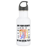 Love Your Kidneys They Are Vital To Life (Nephron) 18oz Water Bottle