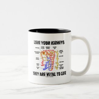 Love Your Kidneys They Are Vital To Life (Nephron) Coffee Mug