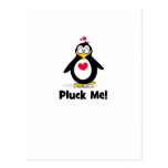 Love Your Penguin Post Card