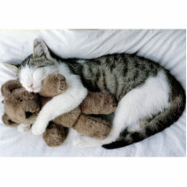 loveable kitty photo cutouts