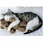 loveable kitty photo cutouts
