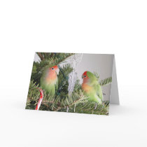 Lovebird Christmas Card