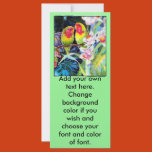 lovebirds, love, budgeries, parrots, orchids, art,