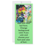 lovebirds, love, budgeries, parrots, orchids, art,