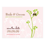 Lovebirds (Blush Pink) Save the Date Postcards