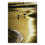 Lovebirds Greeting Card