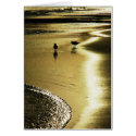 Lovebirds cards