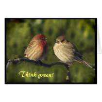 Lovebirds Earth Day Cards