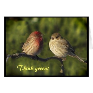 Lovebirds Earth Day Cards