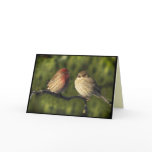 Lovebirds Easter Cards