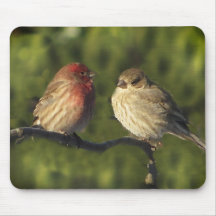Lovebirds Mousepads