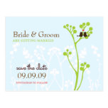 Lovebirds (Powder Blue) Save the Date Post Cards