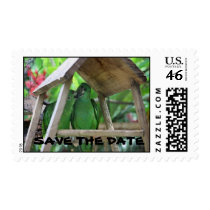 lovebirds, SAVE THE DATE Postage