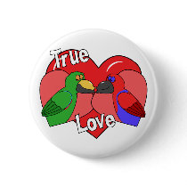 Lovebirds Solomon Island Eclectus buttons