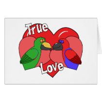Lovebirds Solomon Island Eclectus Card