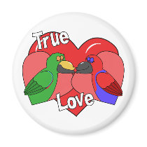 Lovebirds Solomon Island Eclectus magnets by MenagerieMayhem Lovebirds Solomon Island Eclectus magnets