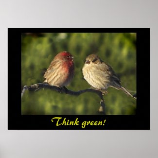 Lovebirds Think Green Poster