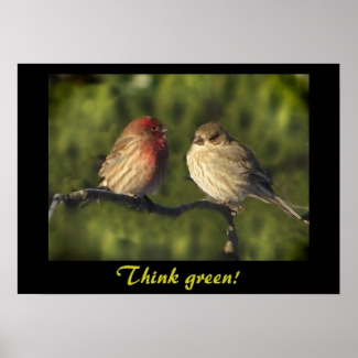 Lovebirds Think Green