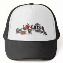 lovecats8.31x3bev mesh hats