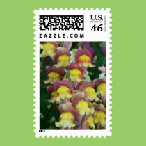 Lovely Assortment stamps