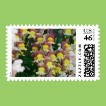 Lovely Assortment stamps