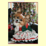 Lovely Bella Shares a Holiday smile cards
