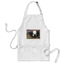 Lovely Beltie Cow and Calf Apron