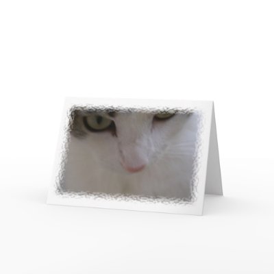 Lovely Birthday Greeting Cards by supermuper