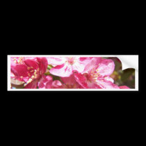 Lovely Blossoming Tree bumper stickers