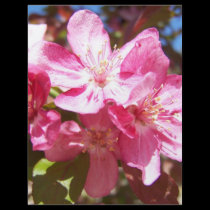 Lovely Blossoming Tree flyers