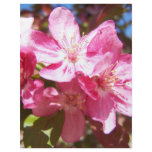 Lovely Blossoming Tree Personalized Flyer
