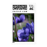 Lovely Blue Stamps