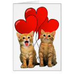 Lovely Cats Greeting Cards