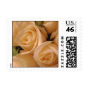 Lovely Cream Roses Wedding Postage postage