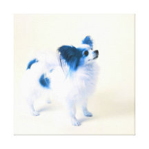 Lovely Dog 1  Stretched Canvas Print
