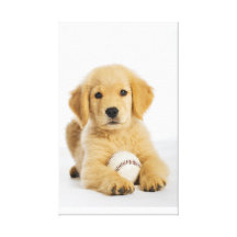 Lovely Dog 21  Stretched Canvas Print