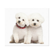 Lovely Dog 26  Stretched Canvas Print