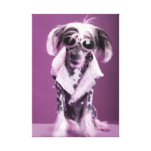 Lovely Dog 30  Stretched Canvas Print